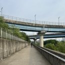 광성정비 | [파주·일산 러닝코스 추천🏃] 금릉역부터 대화역까지 10km 달리기 후기🚴 | 산책로+자전거 도로 완벽 코스!