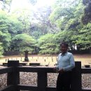 사적인 제주 이미지