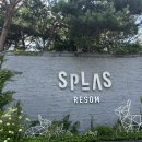 국가지정 보양온천 덕산 스플라스 리솜 s30 클린형 스테이타워 27평 후기