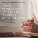 사랑틔움