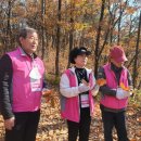 제천 치유의 숲 이미지