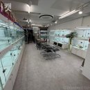 단비캣 네이버블로그