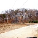 대월초교 이미지