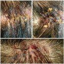 닥터스리뉴 이미지