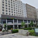 더골프24 이미지