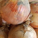 햇살 염소농장 이미지