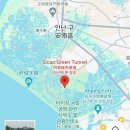 솔트필드 이미지