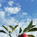 세계농약사 이미지