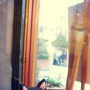 네로는 검은고양이 이미지