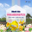 ✅ 제23회 부여서동연꽃축제 부여 군청 블로그 이미지