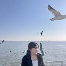 월미농장 이미지