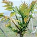 옥천영농조합법인 이미지