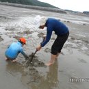 갯벌농장 이미지