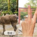 진주안경원 네이버블로그