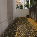 양평-공흥-공흥-02 이미지