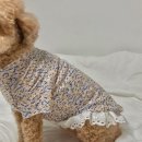 강아지 옷 만들기 이미지