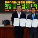 홍주 이미지