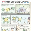 예본실용음악학원 이미지