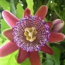 에이원 오션시티 이미지