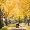 쌍이리귀바위 이미지