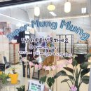 일산 슈퍼멍멍 이미지
