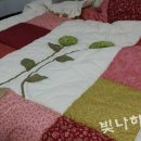 빛나하우스 이미지