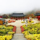 이장식품 이미지
