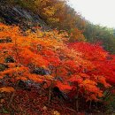 오색비단 - 양산시 양산역7길 14 | 오색비단