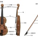 바이올린 (B) 이미지