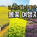4월 5월 국내 여행 추천 가족 여행지 BEST 3 지금 가볼만한곳 이미지