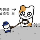 주식회사 깐부 이미지