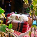 산위의마을 이미지