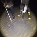 장삼포민박 이미지