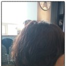 트레보헤어 이미지