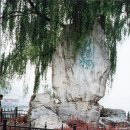 후통 - 마포구 와우산로29다길 14 | 후통