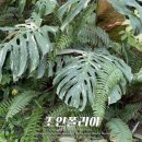 파주 | 파주 가볼만한 곳, 대형 화훼농원 조인폴리아