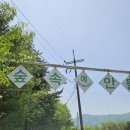 숲속에 안뜰 이미지