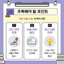 선일논술