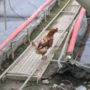 남형농장 이미지