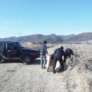 전주 용흥중학교 신평면 오원천 환경정화활동 전개 이미지