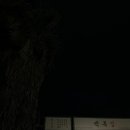 백록마당 | 제주 함덕맛집 함덕횟집 백록집 제주함덕점 제주 가성비 좋은 노포 감성 횟집 제주고등어회 모둠회...
