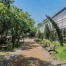 유럽농장 이미지