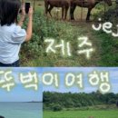 책닦는남자