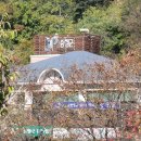 청주시 흥덕정신건강복지센터 | 청주시 흥덕구 흥덕정신건강복지센터 마음건강지킴이 워크숍 증평 좌구산 자연휴양림