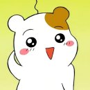정항우케익 이미지