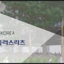 이지스 밸류 플러스리츠 배당금 공시 주당 160원! (역시 믿음을 주는 종목)