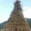 유창운 | 민둥산 억새꽃축제/구미전연령 탑렌트카 MD이용후기