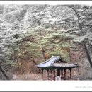 용산정