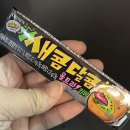 새콤달콤 키위맛이 나왔어요 이미지