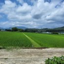 용면사무소 이미지